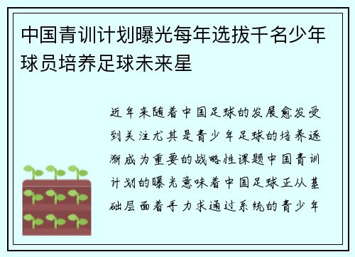 中国青训计划曝光每年选拔千名少年球员培养足球未来星